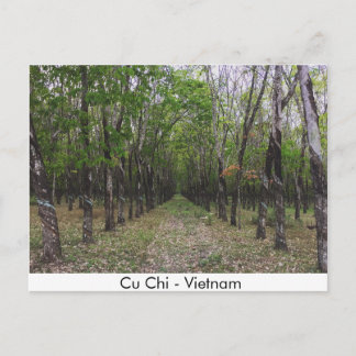 Carte Postale Forêt de caoutchouc - Cu Chi - Vietnam