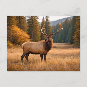 Carte Postale Forêt de cerfs majestueux de la faune