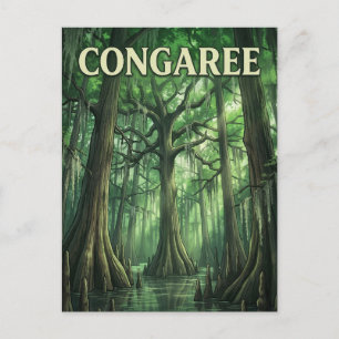 Carte Postale Forêt de Congaree
