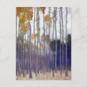 Carte Postale Forêt de Johans Valters (soleil du matin)