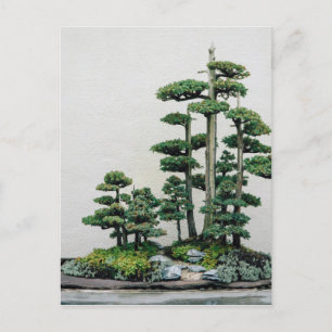 Carte Postale Forêt de Juniper Bonsai