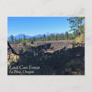 Carte Postale Forêt de lave, Oregon