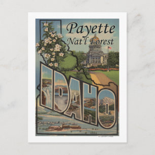 Carte Postale Forêt de Payette Nat'l, Idaho - Scène aux grandes 