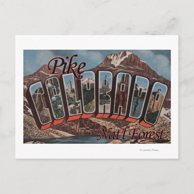 Carte Postale Forêt de Pike Nat'l, Colorado - Scène aux grandes  (Devant)