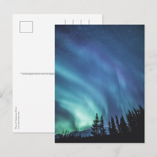 Carte Postale Forêt des Lumières du Nord (Devant / Derrière)
