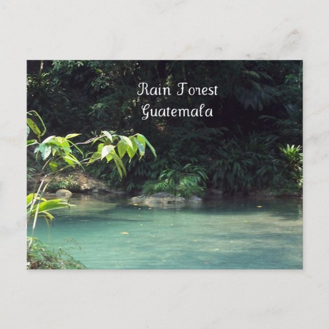 Carte Postale Forêt des pluies, Guatemala (Devant)
