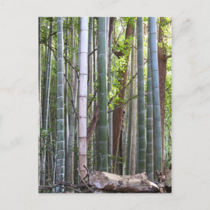 Carte Postale Forêt géante japonaise de bambou, Sagano, Kyoto, J