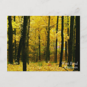 Carte Postale Forêt jaune d'automne