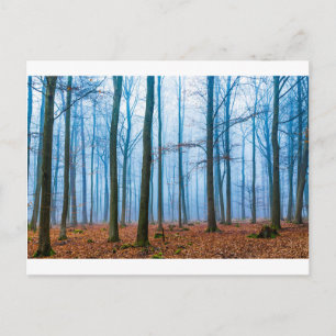 Carte Postale Forêt magique dans le brouillard en bleu et orange