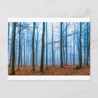 Carte Postale Forêt magique dans le brouillard en bleu et orange