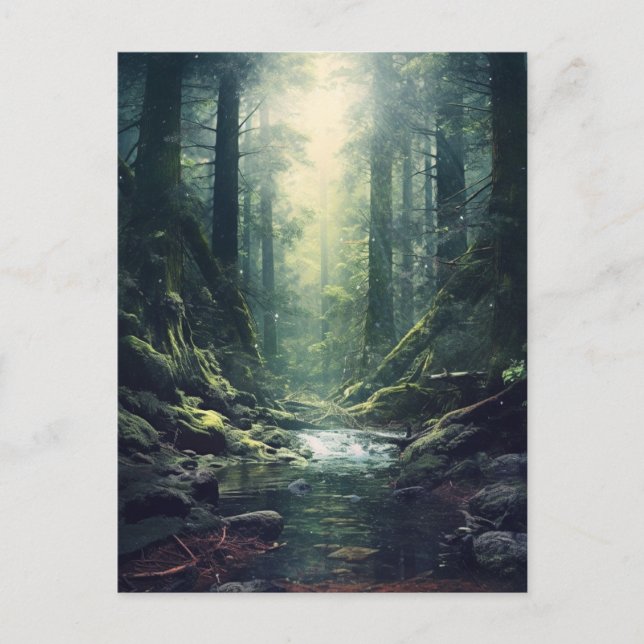 Carte Postale Forêt mystérieuse (Devant)