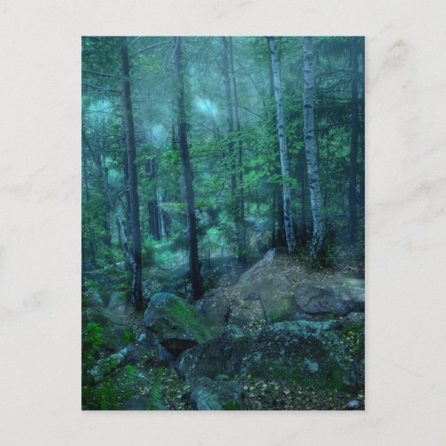 Carte Postale Forêt mystique (Devant)
