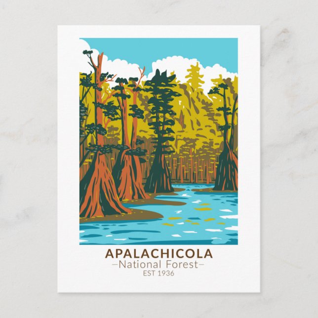 Carte Postale Forêt nationale d'Apalachicola Cyprès chauve (Devant)