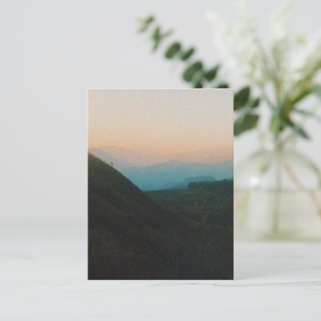 Carte Postale Forêt nationale de Angeles (Debout devant)