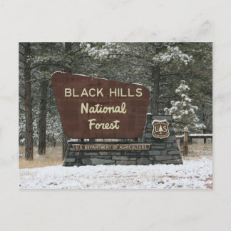 Carte Postale Forêt nationale de Black Hills