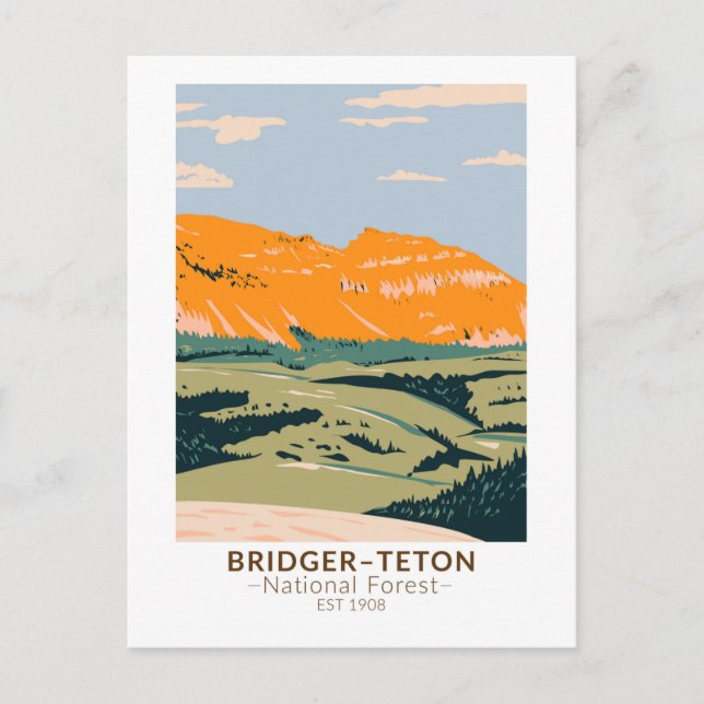 Carte Postale Forêt Nationale de Bridger Teton Sheep Mountain (Devant)