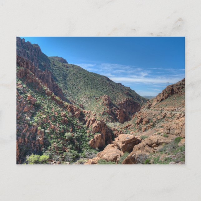 Carte Postale Forêt nationale de Coconino (Devant)