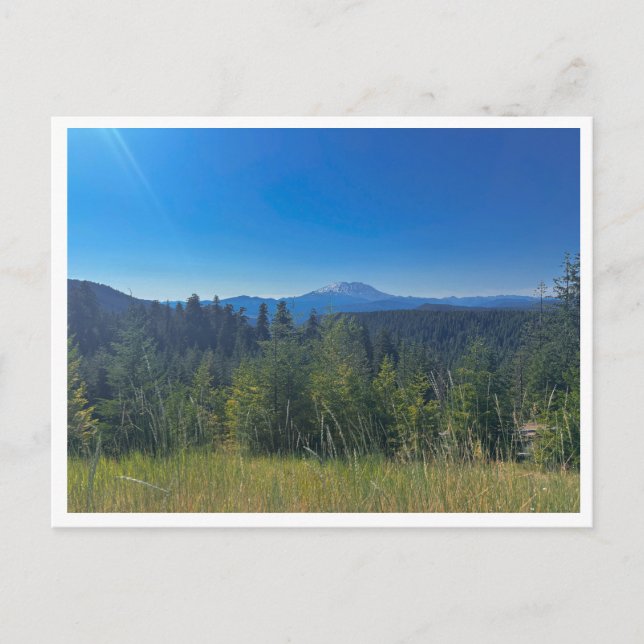 Carte Postale Forêt nationale de Gifford Pinchot (Devant)