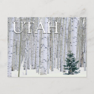 Carte Postale Forêt nationale de Manti-LaSal, Utah   Merci