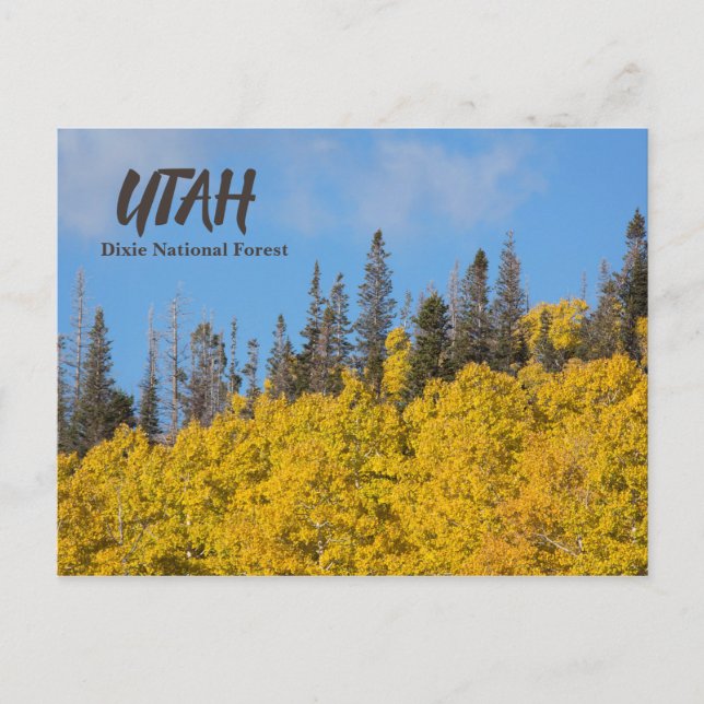 Carte Postale Forêt nationale de Utah Dixie (Devant)