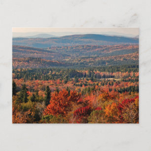 Carte Postale Forêt nationale de White Mountains New Hampshire