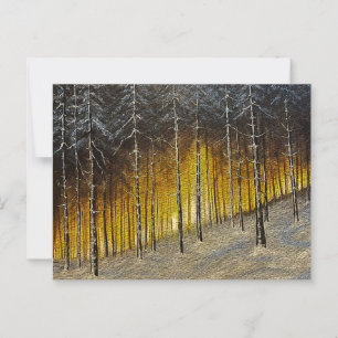 Carte Postale Forêt neigeuse