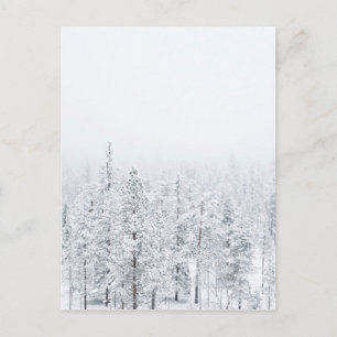 Carte Postale Forêt neigeuse