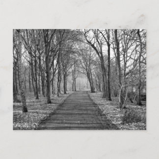 Carte Postale Forêt, noir/blanc