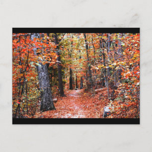 Carte Postale Forêt peinte sentier d'automne Cadeaux d'aquarelle