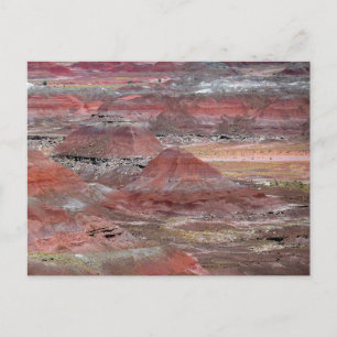 Carte Postale Forêt pétrifiée 2