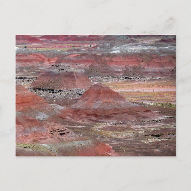 Carte Postale Forêt pétrifiée 2 (Devant)