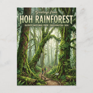 Carte Postale Forêt pluviale de Hoh Washington