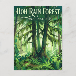 Carte Postale Forêt pluviale de Hoh Washington
