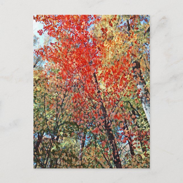 Carte Postale forêt pointillisme (Devant)