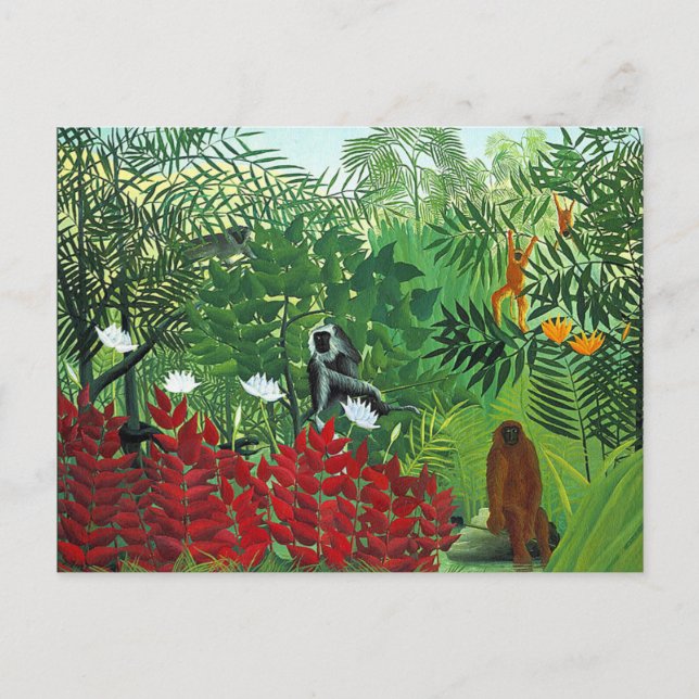 Carte Postale Forêt tropicale avec singes (Devant)