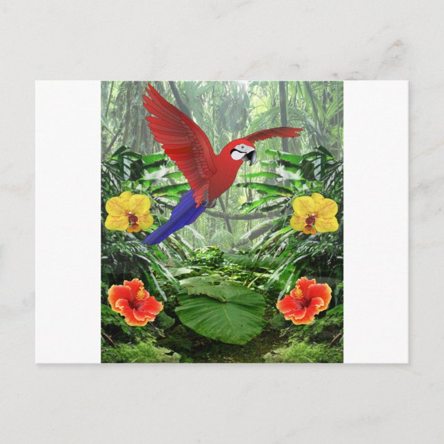 Carte Postale Forêt tropicale tropicale (Devant)