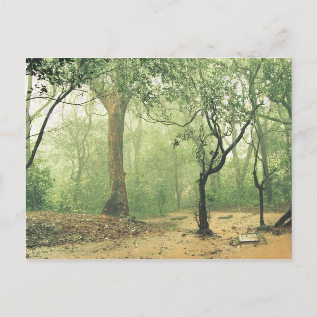 Carte Postale Forêt tropicale tropicale Ghats occidentaux Inde (Devant)