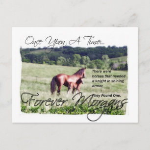 Carte Postale Forever Morgans Fairytale Morgan Mare et Foal