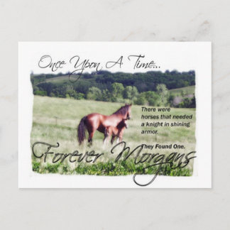 Carte Postale Forever Morgans Fairytale Morgan Mare et Foal