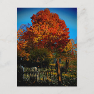 Carte postale Forever Red