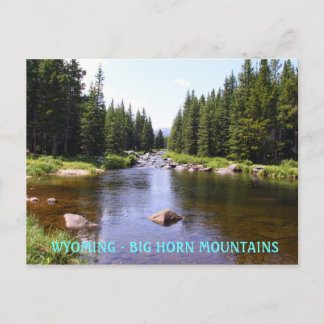 Carte Postale Fork Est Grosse Oie, WYOMING - GRANDE CHEVAL MOUN.