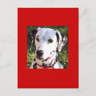 Carte Postale formation