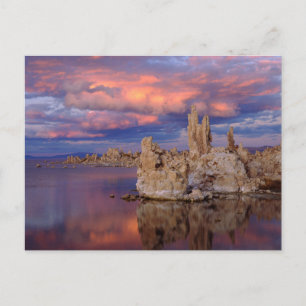 Carte Postale Formations de tuf sur le lac Mono