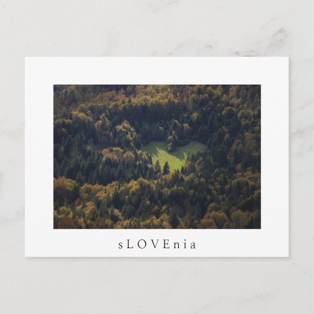 Carte Postale Forme de cœur dans une forêt en Slovénie (Devant)