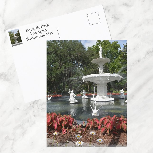 Carte Postale Forsyth Park Fontaine Savannah GA Photographie (Créateur téléchargé)