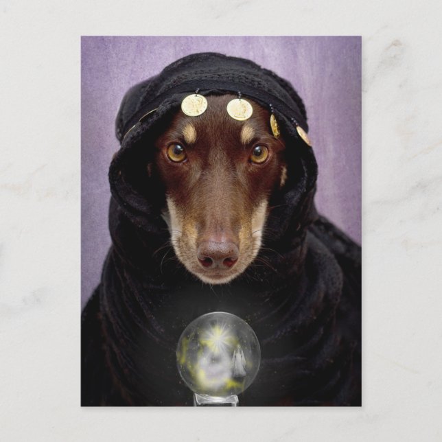 Carte Postale Fortune Teller (Devant)