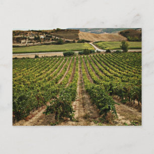 Carte Postale fotografias del Camino de santiago