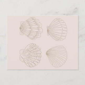 Carte Postale Four Shells