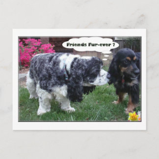 Carte Postale Fourrure-jamais de meilleurs amis