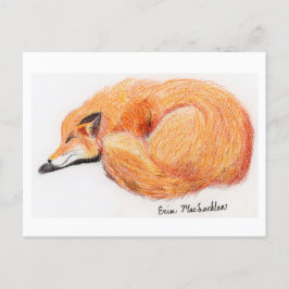 Carte postale Fox couchage